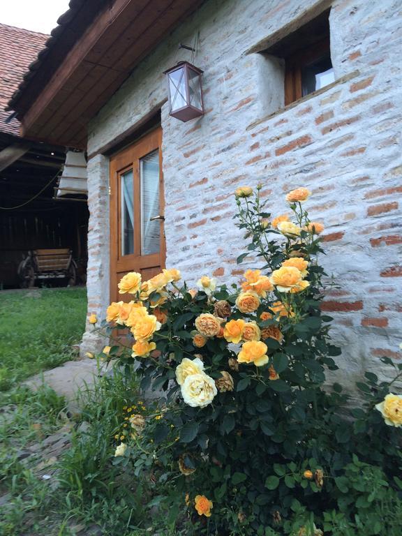 Dominic Boutique - Gardener'S Cottage Cloasterf Εξωτερικό φωτογραφία